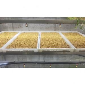 Système <span class=keywords><strong>de</strong></span> culture hydroponique complet et économique en seau - Product Image 4