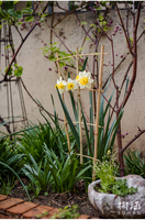 Treillis en bambou naturel Support de pression en bois traité thermiquement pour lit de jardin fleuri Clôture Treillis et portails