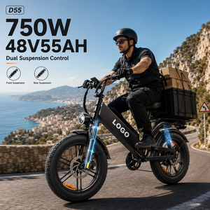 Bicicleta Eléctrica de Carga D55 E-MTB 750W 48V55Ah con Neumáticos Gruesos de 20 Pulgadas, Alcance de 240 km, Suspensión Completa OEM, Bicicleta de Reparto Personalizada - Product Image 1