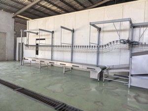 Macchina Trasportatrice a Nastro per Carcasse e Ossa di Polli e Anatre, Attrezzatura Automatica per Macellazione ad Alta Capacità - Product Image 6