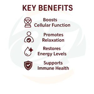 Usine de gros de produits à base de plantes chinoises, fabrication OEM disponible, gommes de Shilajit, de Sea Moss et d'Ashwagandha, complément alimentaire naturel pour le bien-être - Product Image 4