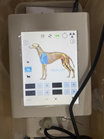 Unité de radiographie portable vétérinaire OSCAT, système d'imagerie numérique mobile DR, équipement médical numérique pour animaux, équipement médical pour clinique vétérinaire