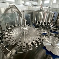 Machines de remplissage entièrement automatiques 3 en 1 pour bouteilles d'eau, bouteilles PET, haute capacité, rentables pour les grandes usines de production d'eau