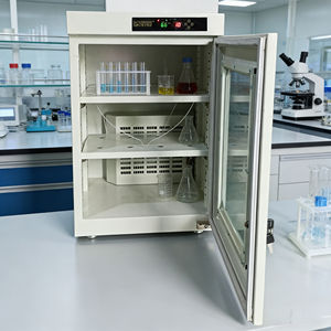 جهاز إزالة الرطوبة للمختبرات معتمد CE لعام 2021، خزانة تجفيف كهربائية ساخنة، منتج رائج مع ضمان <span class=keywords><strong>3</strong></span> سنوات، معدات تجفيف أوتوماتيكية - Product Image 5