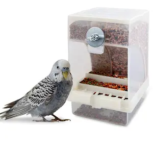 Alimentador automático de aves, caja de comida para loros y aves, caja de comida antisalpicaduras