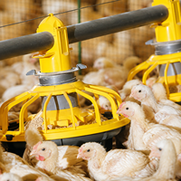 Système d'élevage avicole complet pour 30 000 volailles, poulailler automatique pour poulets de chair, système d'alimentation et d'abreuvement, équipement de ferme de grande taille