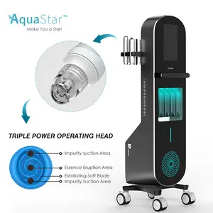 Hydro Beauty Water Machine faciale petite bulle Aqua Peeling Der 12 en 1 avec ski fractionné Rf