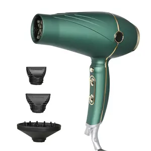 High Quality Custom Professional 1500W Travel Salon Hair Dryer Negative Ions Quick Drying Electric Hair Care Tool Blow