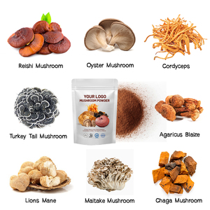 Polvo <span class=keywords><strong>de</strong></span> extracto <span class=keywords><strong>de</strong></span> hongo puro 100%, melena <span class=keywords><strong>de</strong></span> León, Reishi, Cordyceps, Chaga, <span class=keywords><strong>cola</strong></span> <span class=keywords><strong>de</strong></span> <span class=keywords><strong>pavo</strong></span> - Product Image 3