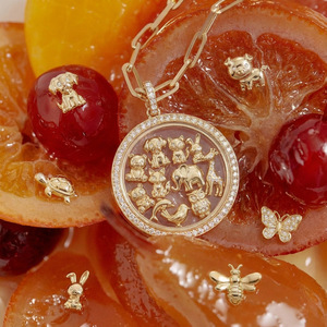 Nuovo 2026 LIVE4U Ciondolo a Medaglione Retrò Personalizzato, in Rame Placcato Oro 14K, Apribile, Serie Animali Fai da Te, Scatola Trasparente Cava, Collana - Product Image 2