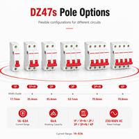 Disyuntor en miniatura DZ47s MCB 1P 1P+N 2P 3P 3P+N 4P 1-63A 230V 400V CA 6kA Curva B C D Riel DIN de 35mm