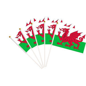 Trong Kho 14x21cm 20x30cmmini Cầm Tay Wales Welsh Nhựa Nhỏ Cực Tay Cờ - Product Image 3