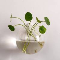 Vase mural en verre de style bohème, écologique, pour plantes hydroponiques, bouteille en verre soufflé artificiellement en forme de sphère, pour poissons et fleurs