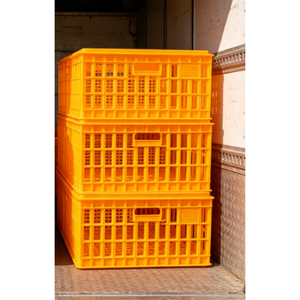 Cage de transport pour volailles en promotion – Caisses de transport pour poulets, canards et oies – Cages pliables en plastique pour le déménagement - Product Image 1