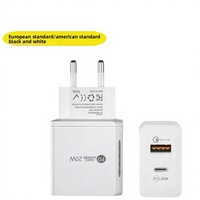 Chargeur de voyage transfrontalier à charge rapide PD 20W Type-C double port avec lumière LED et certification CE