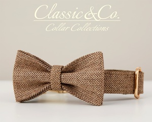 Collar de Perro Personalizado de Terciopelo Marrón Sólido con Lazo, Juego de Correa con Nombre Grabado, Hebilla Metálica, Regalo de Cumpleaños para Cachorro - Product Image 4