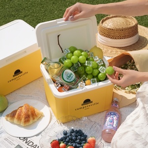 <span class=keywords><strong>Nevera</strong></span> portátil de 5L, caja refrigeradora de PP de grado alimenticio, con aislamiento, mantiene la temperatura por 48 horas, mini <span class=keywords><strong>nevera</strong></span> para leche materna, comida para bebés, camping y picnic. - Product Image 4