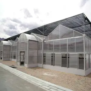 Polycarbonate agricultural vegetables rose growing in greenhouse