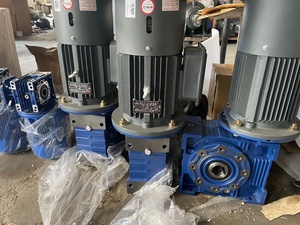 Reductor de Velocidad NMRV110 Relación 1:20 con Motor de 5.5Kw/1500 - Product Image 5