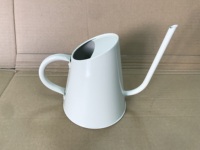 Arrosoir vintage en acier galvanisé durable de 900 ml pour plantes d'intérieur et d'extérieur