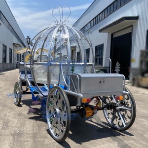 Carruaje de Acrílico con Forma de Calabaza, Eléctrico, sin Caballos, para Turismo, Bodas, Estilo Cenicienta, en Venta - Product Image 3