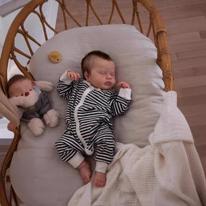 ใหม่49ซม. <span class=keywords><strong>loulou</strong></span> ซิลิโคนแบบเต็มตัวเหมือนจริงตุ๊กตาทารกแรกเกิดสัมผัสนุ่มน่ากอดของเล่นสำหรับเด็กผู้หญิง - Product Image 2
