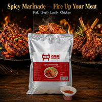 Poudre de marinade épicée en vrac de 5 kg pour viande, assaisonnement composé pour restaurants et usines alimentaires - Vente en gros usine