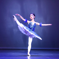 Jm300 vente en gros bleu professionnel Ballet Tutus jupe de danse femmes adultes filles Dancewear Costumes classiques Ballet Tutu robe