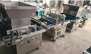 Nouvelle Conception Système d'Auto-Nettoyage Planteur de Micro-Pousses avec 288 Trous Machines de Remplissage de Substrat pour <span class=keywords><strong>Semis</strong></span> - Product Image 3