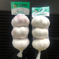 Ajo Pure White Tỏi Tươi Bình Thường Tỏi Trắng Với Hương Thơm Cay Cho Đầu Bếp Lựa Chọn Từ Thiên Nhiên