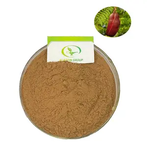 HALAL high quality best price cutch extract powder catechu extract