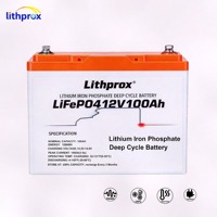 Batterie de scooter électrique au phosphate de fer et de lithium de qualité supérieure 12V100AH, sûre, stable, résistante aux chocs, pour scooter à 3 roues, CE MSDS IP67