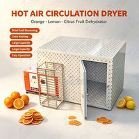 Heteluchtcirculatie oranje droogmachine citroendroger citrusvruchten droger voor gedroogd fruit verwerking productie apparatuur