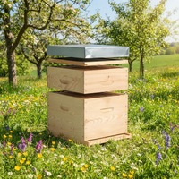 Kit complet de ruche Dadant en promotion avec couvercle intérieur, couvercle extérieur et plateau inférieur pour équipement d'apiculture en gros