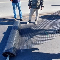 Géogrille en fibre de verre à haute résistance à la traction pour le renforcement des chaussées en asphalte et des surfaces routières