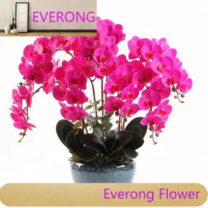 3D Flask Orchid Flowers Artificial Dendrobium Orchid Plants for Home Decor