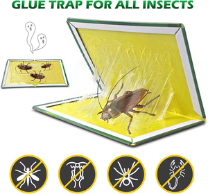 Pièges à souris collants sans poison, inodores, plaques collantes pour rats, sûres pour les animaux domestiques et les enfants, gestion des nuisibles en cuisine et en intérieur - Product Image 4