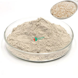 Lebensmittel qualität 99% Flohs amensc halen samen extrakt Flohs amensc halen pulver - Product Image 3