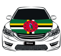 Housse de capot de voiture en polyester extensible imperméable imprimée numériquement avec le drapeau national de Pohnpei, drapeau décoratif pour capot de moteur de voiture