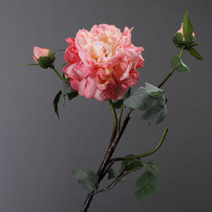 Décoration de mariage minimaliste moderne ultra réaliste Fleur de pivoine Bord brûlé Décoration de la maison Fleur artificielle Art - Product Image 5