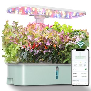 Complete hydrocultuur kweeksets met verlichting voor de beste hydrocultuur binnenkweek met vetplanten - Product Image 6