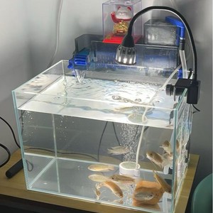 <span class=keywords><strong>Aquarium</strong></span> Drei-in-Eins Wasserreinigung Trocken-Nass-Zirkulation Integrierter Oberflächen-Biochemischer Wasserfall Niedriger Wasserstand Wandmontiert - Product Image 1