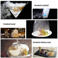 BORUiT 2021 Rumah Tangga Portabel Tudung Genggam Infuser Makanan Merokok Masakan Molekul Smoker Gun Set Ringan Perokok