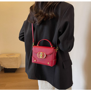 Diseño de nicho 2025 nueva moda clásica pequeña cuadrada moda señoras bolso textura Color colisión señoras hombro bandolera - Product Image 3