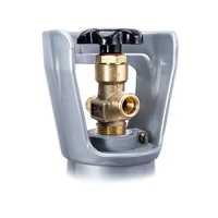 Ensemble de cylindres de CO2 pour aquarium, équipement d'aquarium, générateur de CO2 en acier, cylindre