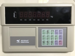 <span class=keywords><strong>Yaohua</strong></span> <span class=keywords><strong>A9</strong></span> Analog Điện Tử Xe Tải Quy Mô Thép Không Gỉ Trọng Lượng Chỉ Số Cụ Cho Xe Với Load Cell - Product Image 2