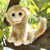 Jouet en peluche petit singe réaliste transfrontalier poupée singe aux yeux d'or PP coton lavé poupée de confort pour enfants cadeau d'anniversaire