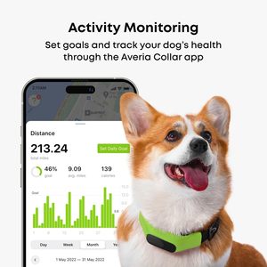 Averia Collar GPS Tracker For Dogs With Real Time Tracking And Activity Monitoring <b>Waterproof</b> Ip67 Modern Design - Product Image 3