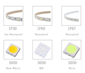 Waterpoof Dải Đèn <span class=keywords><strong>Led</strong></span> Điều Khiển Ứng Dụng Wifi Thông Minh Rgbw 12V 24V 5050 <span class=keywords><strong>Rgb</strong></span> - Product Image 5
