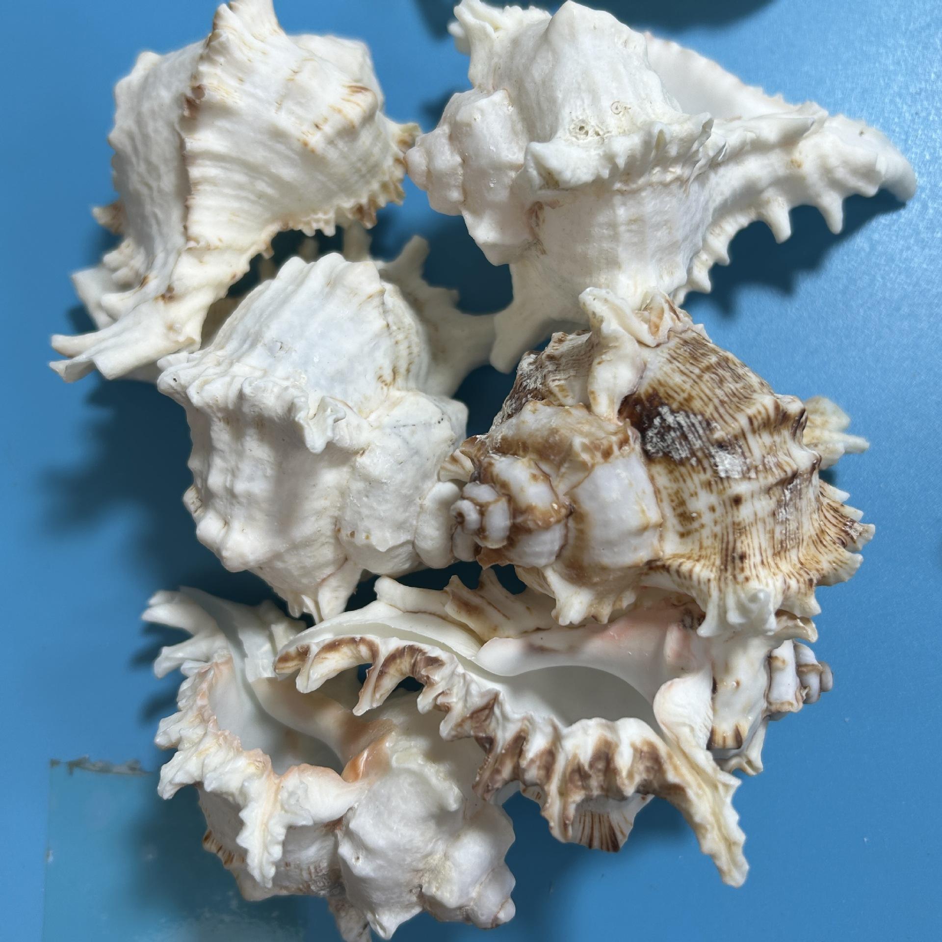 Système escargot mille mains 6-10cm 05kg